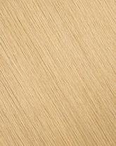 Dirty Blonde (#18) Tape-In Extension (30g-70g)