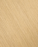 Dirty Blonde (#18) Tape-In Extension (30g-70g)