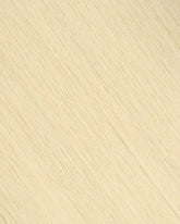 Ash Blonde (#60) Tape-In Extension (30g-70g)