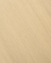 Gloden Blonde (#610) Tape-In Extension (30g-70g)