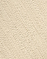 Misty Blonde (#650) Tape-In Extension (30g-70g)