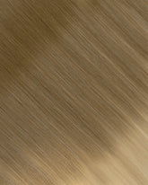 Ash Brown/Ash Blonde (B#8/60) Tape-In Extension (30g-70g)