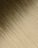 Walnut Brown/Ash Blonde (R#3/60) Tape-In Extension (30g-70g)