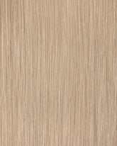 Natural Blonde (#25) Tape-In Extension (50g-70g)