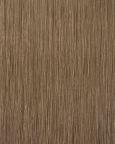 Caramel Brown (#28/Balayage) Tape-In Extension (50g-70g)