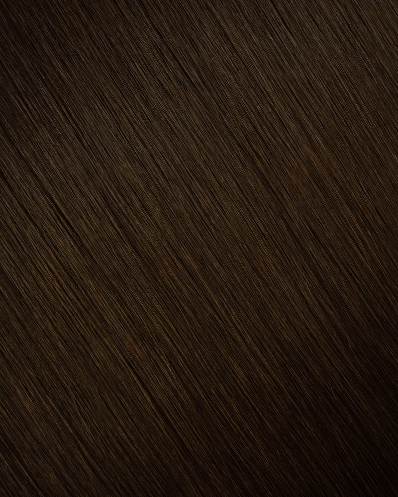 Chocolate Brown (