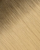 Brown Blonde (R#8/12) Tape-In Extension (30g-70g)