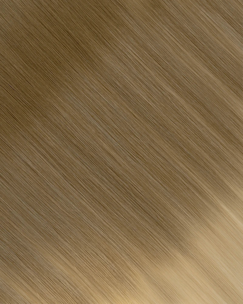 Ash Brown/Ash Blonde (B#8/60) Tape-In Extension (30g-70g)