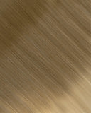 Ash Brown/Ash Blonde (B#8/60) Tape-In Extension (30g-70g)