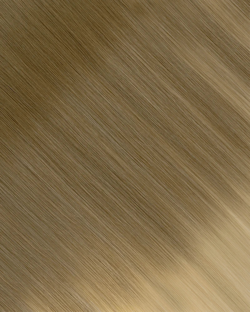 Ash Brown/Ash Blonde (B