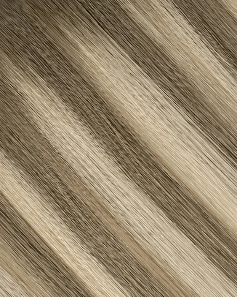 Chestnut Brown/Misty Blonde (HB#6/650) Tape-In Extension (30g-70g)