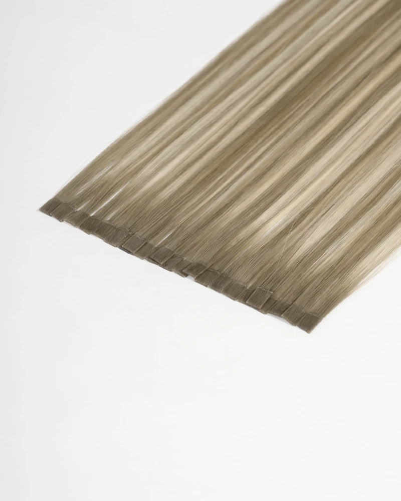 Chestnut Brown/Misty Blonde (HB