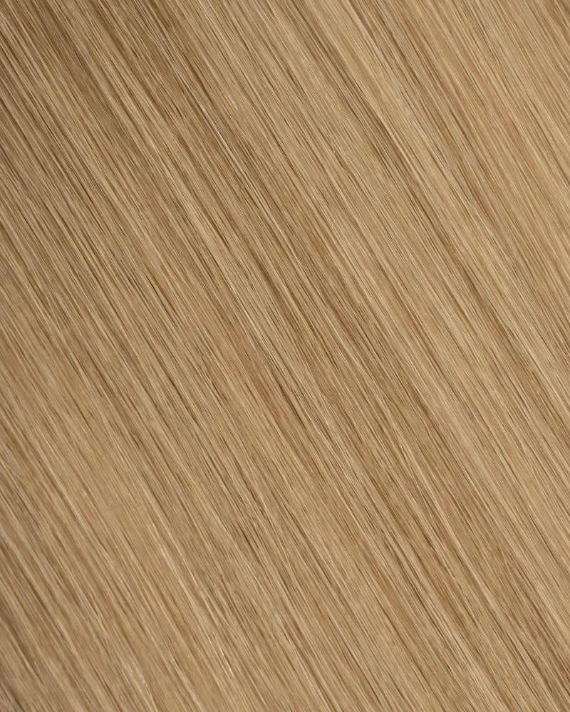 Bronde (M
