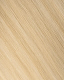 Champagne Bubbles (P#10/16/60-80) Genius Weft (50g-70g)