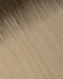 Espresso Brown/Sandy Blonde (R#2C/SILVER) Tape-In Extension (30g-70g)