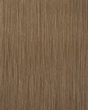 Caramel Brown (#28/Balayage) Tape-In Extension (50g-70g)