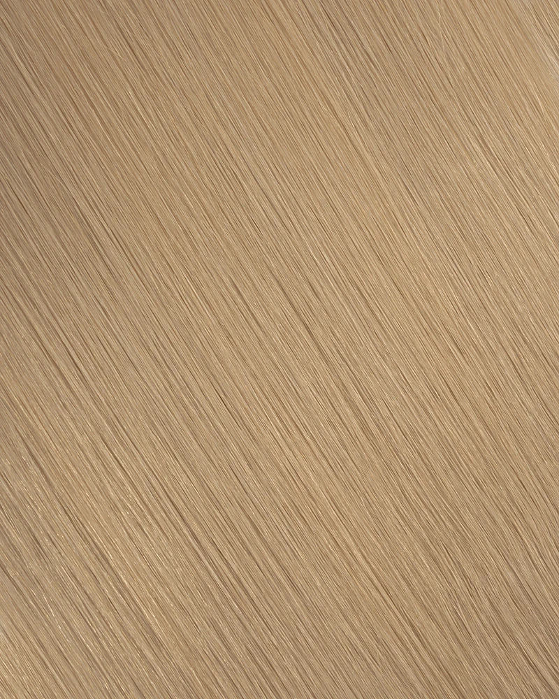 Champagne Blonde (